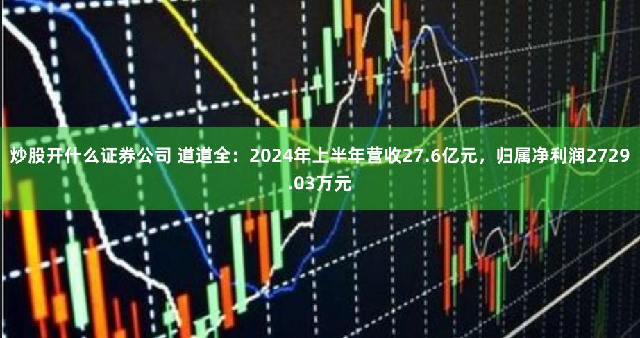 炒股开什么证券公司 道道全：2024年上半年营收27.6亿元，归属净利润2729.03万元