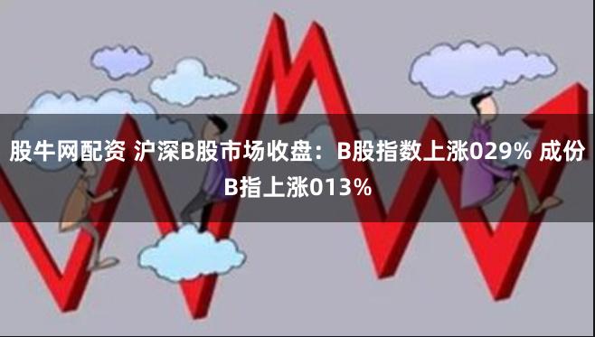 股牛网配资 沪深B股市场收盘：B股指数上涨029% 成份B指上涨013%